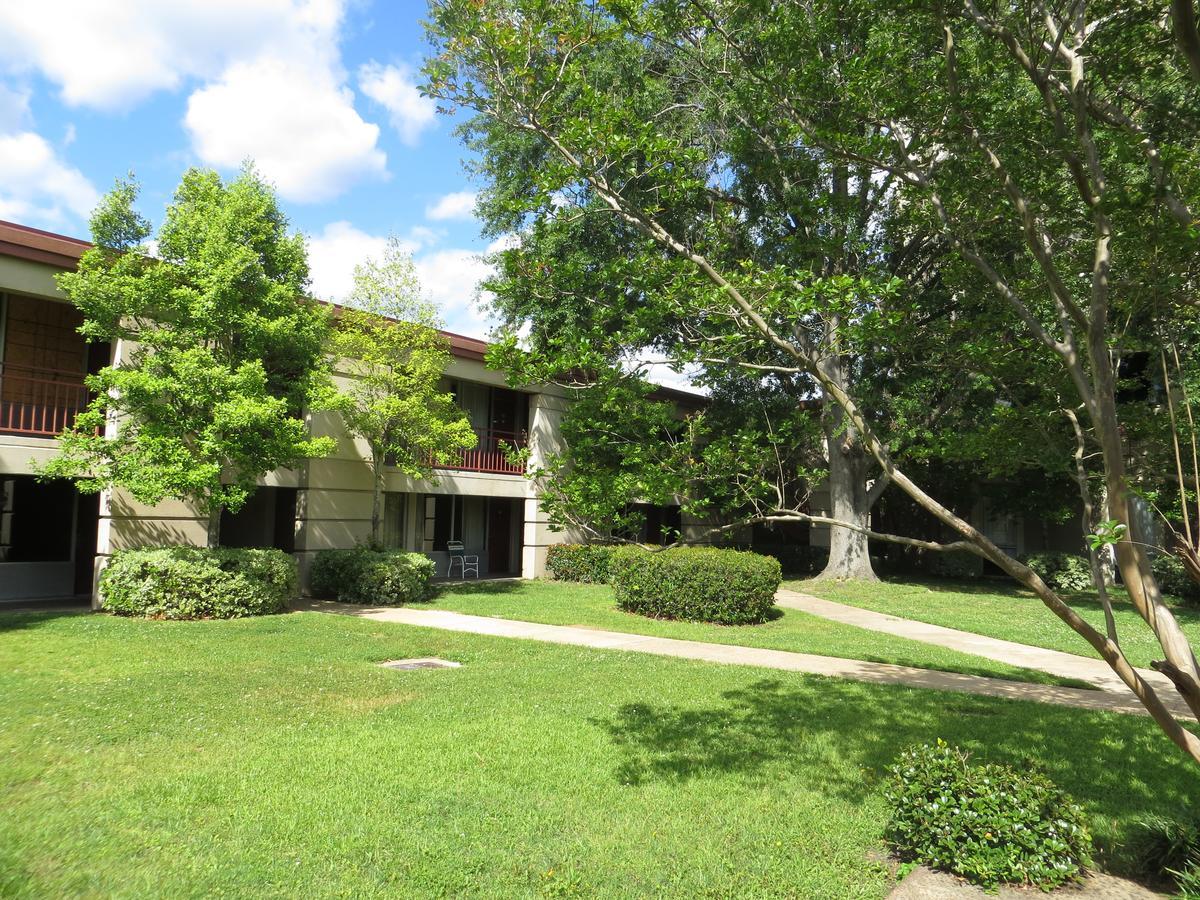 Olive Tree Hotel And Banquet Halls Jackson Luaran gambar